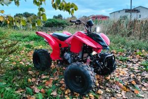 Quad atv Lifan 200cc raffreddamento a liquido