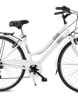 bicicletta da città vintage