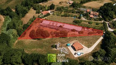 Capannone agricolo 840 MQ con terreno 5.450 mq
