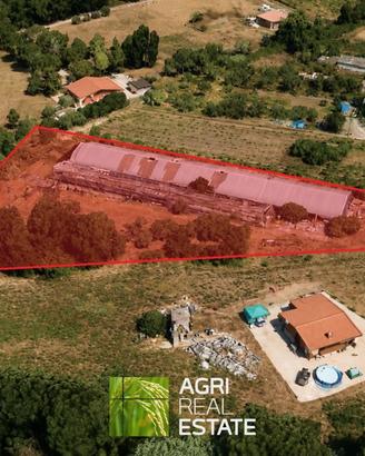 Capannone agricolo 840 MQ con terreno 5.450 mq