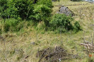 Terreno Edificabile a Palù del Fersina