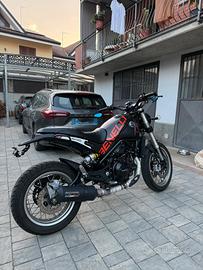 BENELLI LEONCINO 500