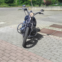 Softail springer 1450 2004 iniezione