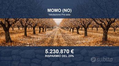 Immobile in asta di 2087774 m² a Momo