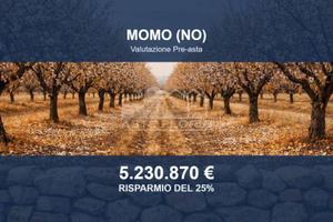Immobile in asta di 2087774 m² a Momo