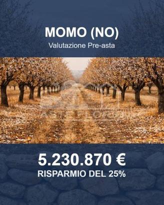 Immobile in asta di 2087774 m² a Momo
