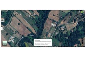 Vendita terreno agricolo 3 ettari Vejano (VT)