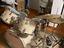 Immagine 5
