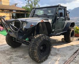 Wrangler tj preparato