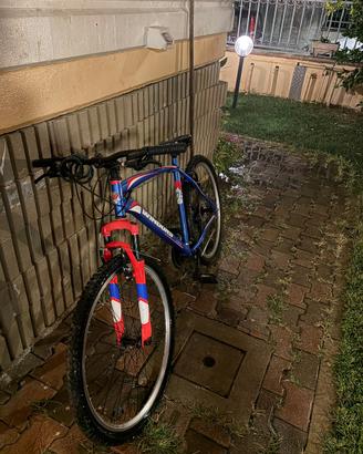 Bicicletta