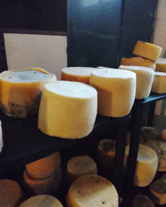 Formaggio pecorino