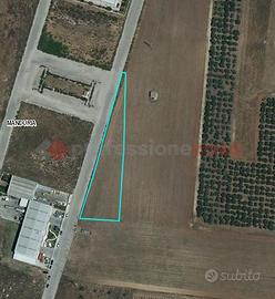 Terreno Agricolo Manduria [1208VCG]