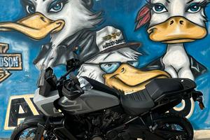Harley-davidson Pan America SPECIAL MY25