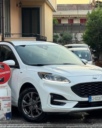 Ford Kuga 1.5 EcoBlue 120 CV aut. 2WD ST-Line X