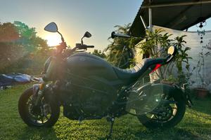 Benelli 502 C Cruiser