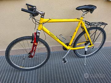 Bici Wilier triestina vintage
