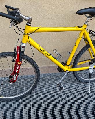Bici Wilier triestina vintage