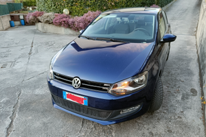 Polo blu