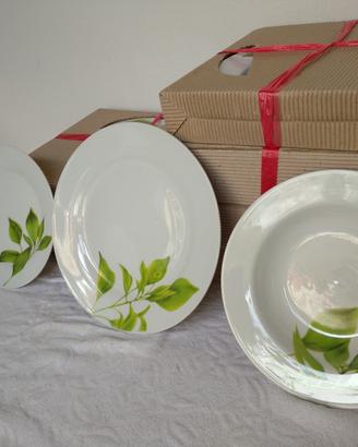 servizio di piatti 24 piatti