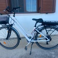 bicicletta elettrica Montana