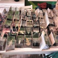 Modellini veicoli Star Wars