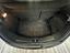 Immagine 13