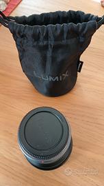 Panasonic  G  vario 7-14