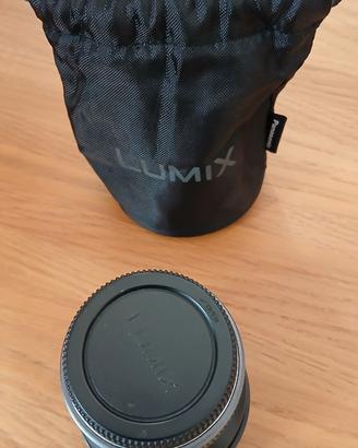 Panasonic  G  vario 7-14