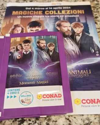 Figurine Harry Potter 2024 Magiche Collezioni