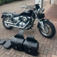 Suzuki VZ 800 Marauder