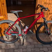 MTB orbea XL cerchi 29"