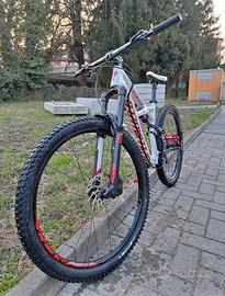 bici  specialized enduro 