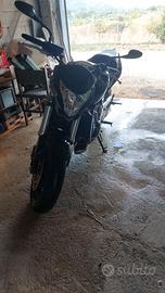 Honda Hornet