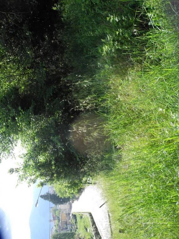 Immobile in asta di 1140 m² a Buti - Vista 4