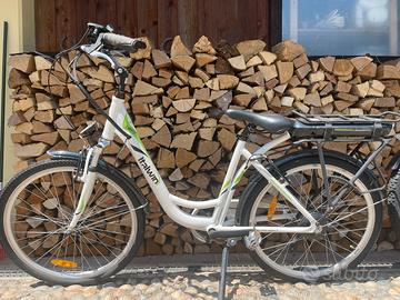Bicicletta elettrica