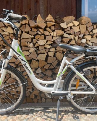 Bicicletta elettrica