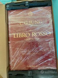 Il libro rosso di Carl Gustav Jung