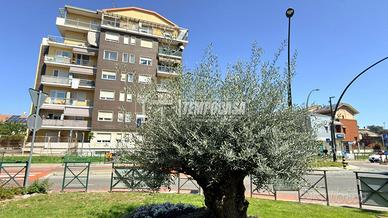 ALPIGNANO VIA MIGLIARONE INTERESSANTE APPARTAMENTO