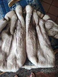 Pelliccia volpe Groenlandia