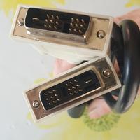 cavo dvi