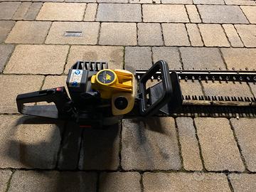 Tagliasiepi a motore e elettrico