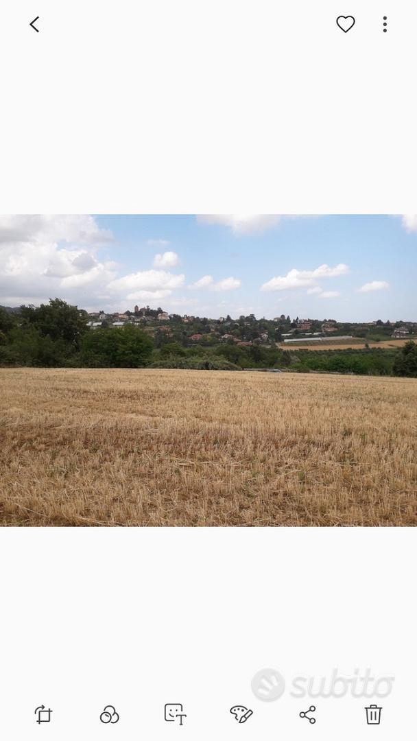 Moncalieri revigliasco - Vista 5