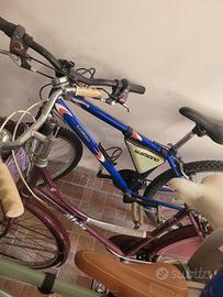 Atala college + mountain bike
