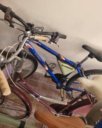 Atala college + mountain bike