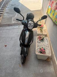 Bici elettrica scooter ZTECH ZT-09FL