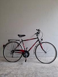 bicicletta due rosse uguale e 1 blu 