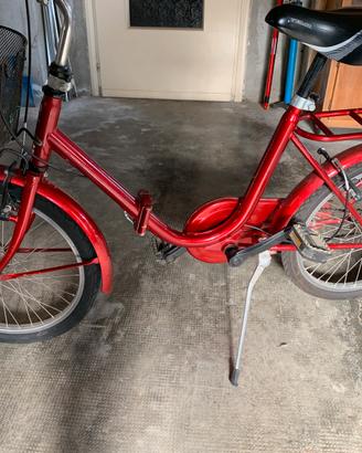 Graziella 20”