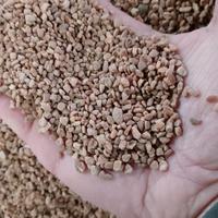 nocciolino per stufe a pellet 