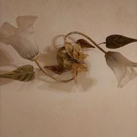 Vendi lampadari in vetro