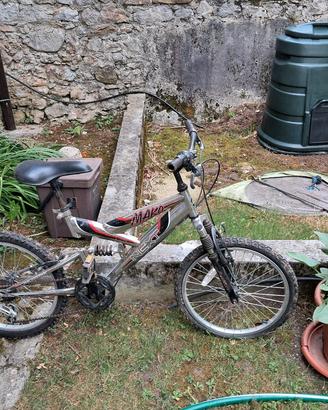 2 bici bimbo